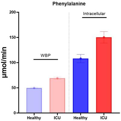 Compartmental analysis: a new approach to estimate protein breakdown and meal response in health and critical illness